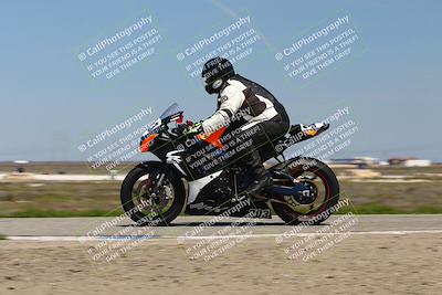 media/Mar-23-2025-TrackDaz (Sun) [[88a7749186]]/C Group/1240pm (Wheelie Bump)/